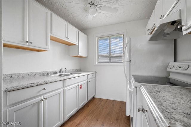 kitchen featuring light wood-style flooring, under cabinet range hood, range with electric stovetop, a sink, and white cabinetry