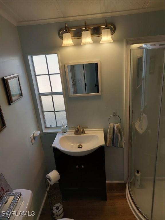 bathroom with toilet, wood finished floors, vanity, baseboards, and a shower stall