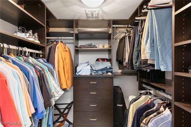 view of spacious closet