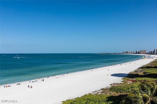 water view featuring a beach view