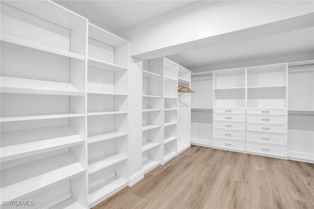 spacious closet featuring light wood-style floors