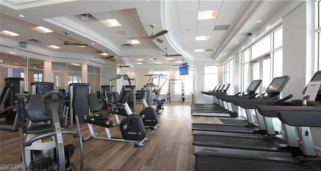 workout area with a raised ceiling, visible vents, ceiling fan, and wood finished floors