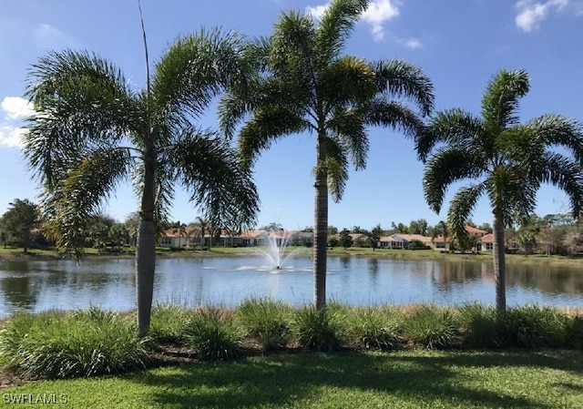 9325 La Bianco St, Estero, FL 33967 - water view