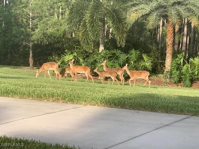 14821 Windward Ln, Naples, FL 34114 - view of surrounding community