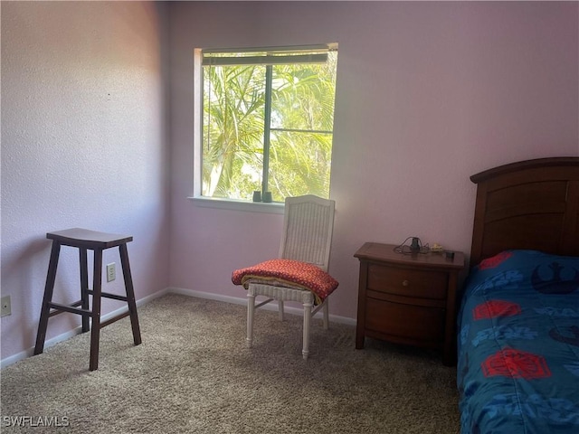 bedroom featuring carpet and baseboards