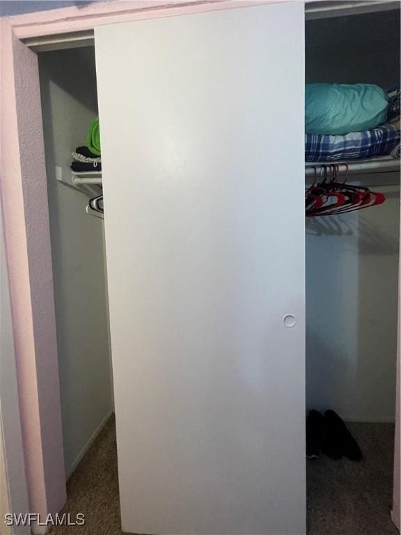 view of closet