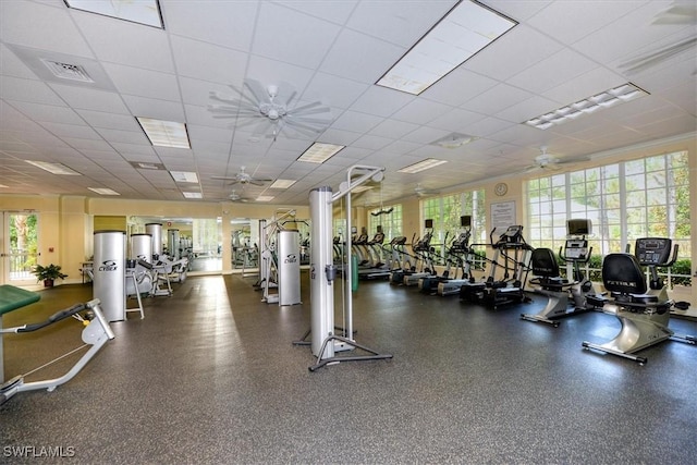 workout area with ceiling fan, a drop ceiling, and visible vents