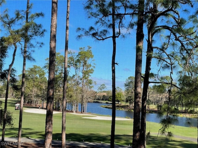 view of property's community featuring a yard and a water view