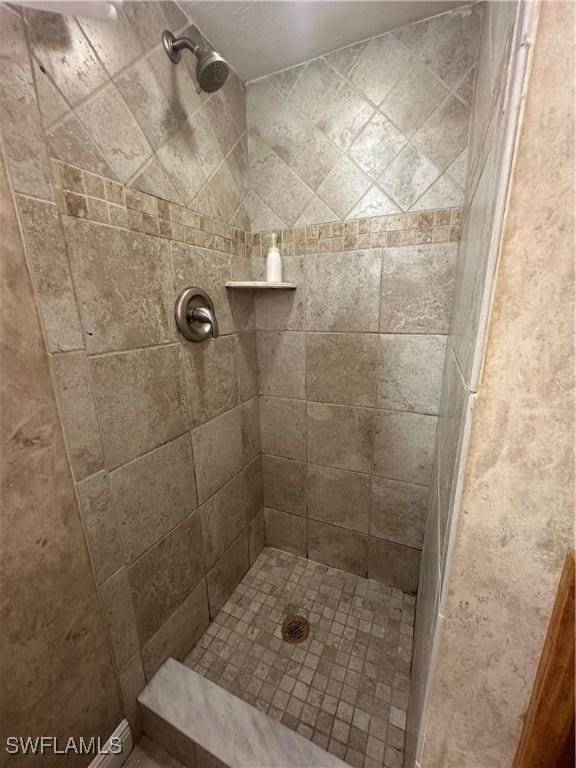 full bathroom with a tile shower