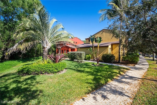 view of front of property with a front lawn and stucco siding