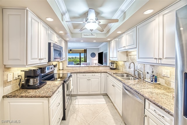 kitchen featuring a tray ceiling, crown molding, appliances with stainless steel finishes, a sink, and ceiling fan