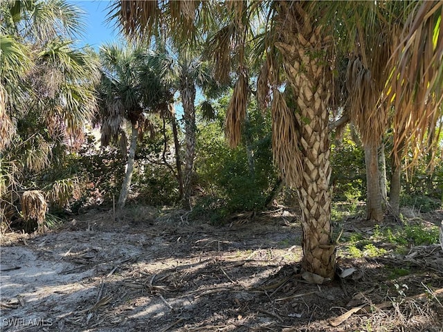 Listing photo 2 for 4491 Butterfly Shell Dr, Upper Captiva FL 33924