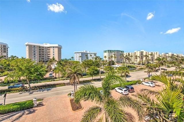 view of home's community featuring a view of city