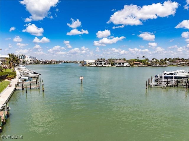 property view of water with a dock