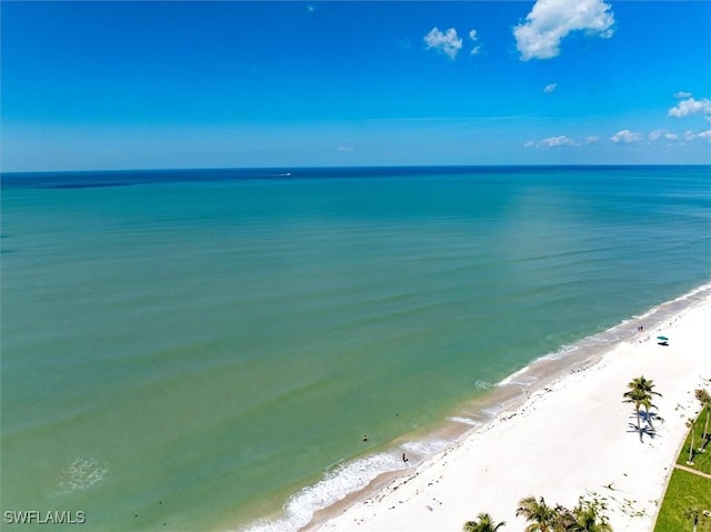 property view of water with a beach view