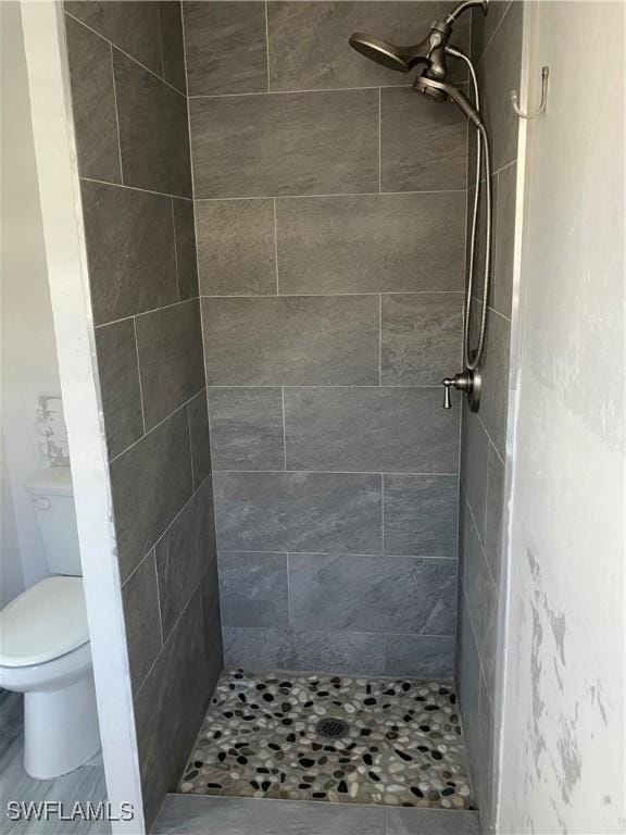 bathroom featuring a shower stall and toilet