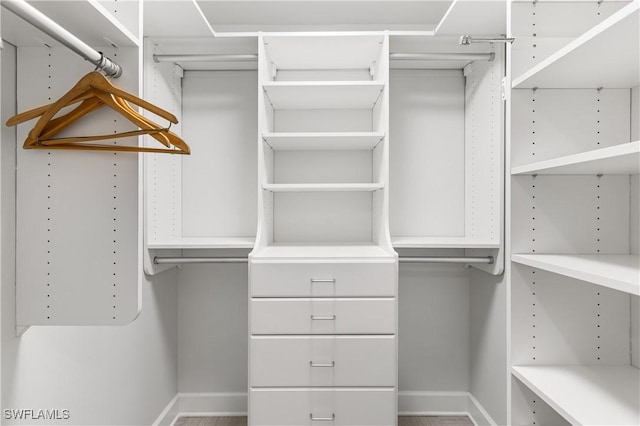 view of spacious closet