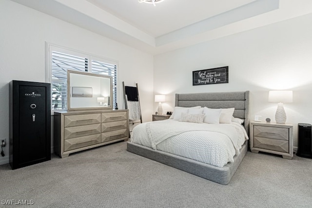 bedroom featuring carpet floors and a raised ceiling