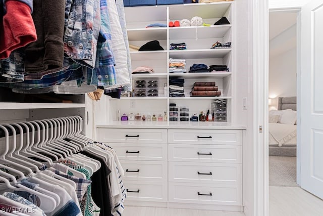 view of walk in closet