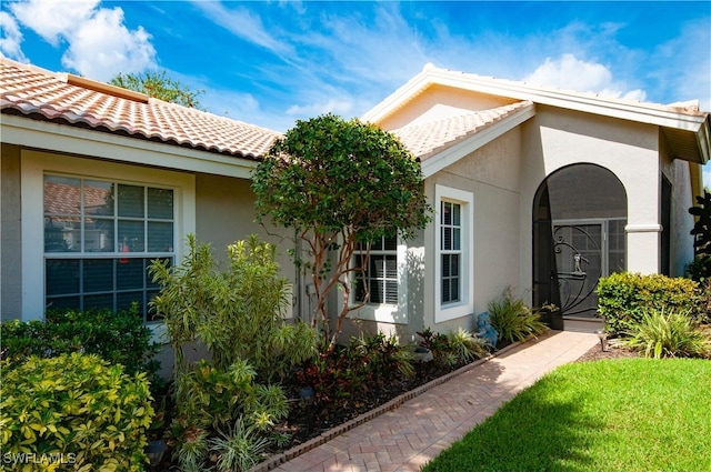 view of exterior entry with a tiled roof and stucco siding