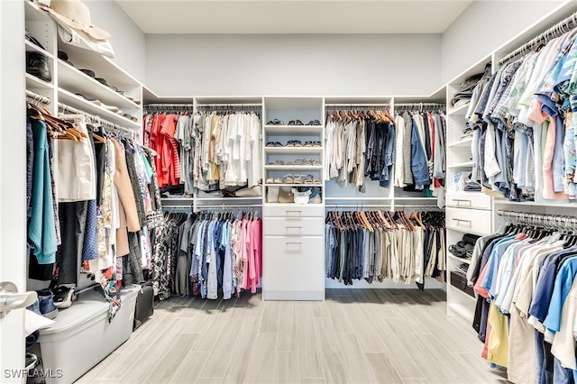 walk in closet featuring wood finish floors