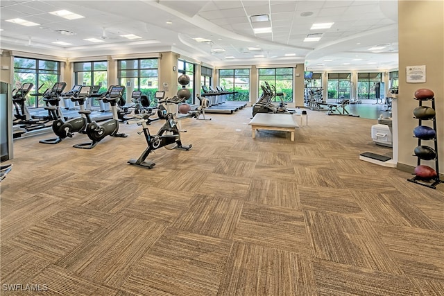 workout area with a paneled ceiling and carpet flooring