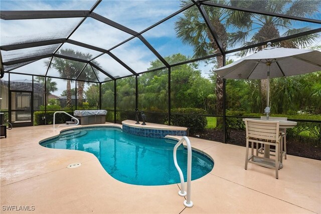 12020 Bramble Cove Dr, Fort Myers, FL 33905 - pool featuring a lanai and a patio