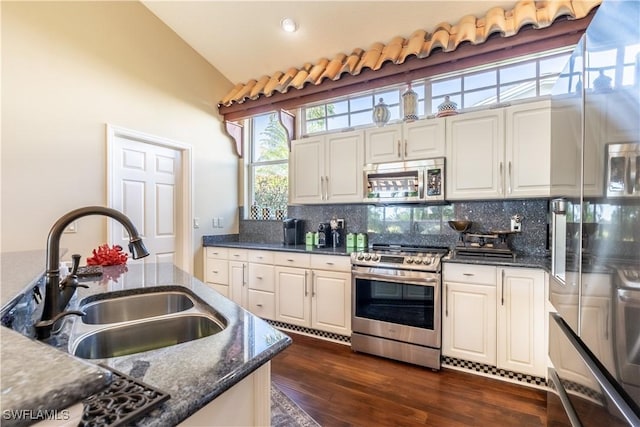 834 Coldstream Ct, Naples, FL 34104 - kitchen featuring stainless steel appliances, a sink, lofted ceiling, decorative backsplash, and dark wood-style flooring