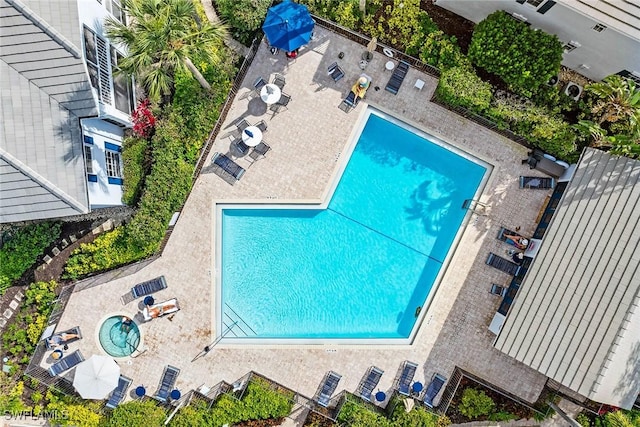 bird's eye view of a pool