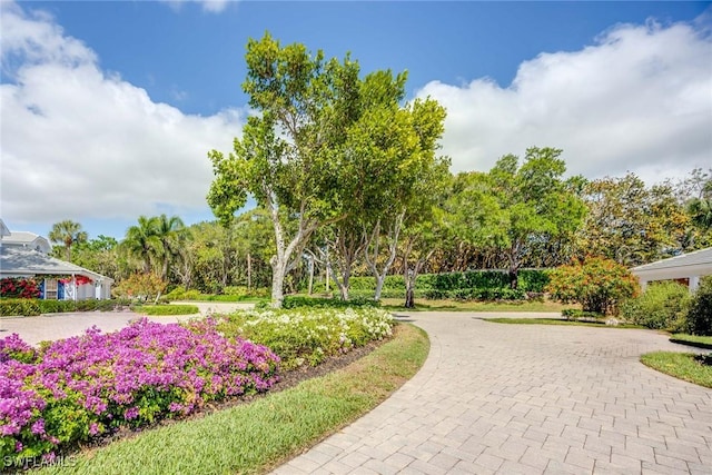 7070 Barrington Cir Unit 202, Naples, FL 34108 - view of home's community featuring curved driveway
