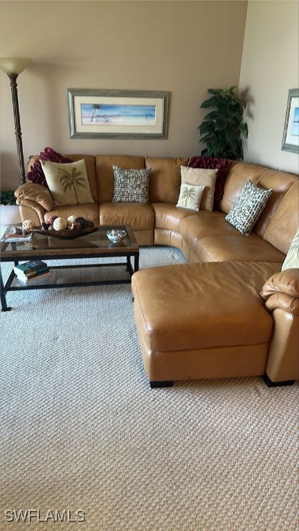 living room featuring carpet flooring