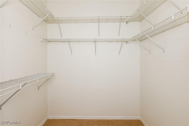 spacious closet featuring light colored carpet