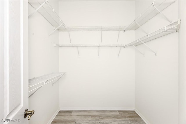 8880 Lely Island Cir, Naples, FL 34113 - walk in closet with light wood-style flooring
