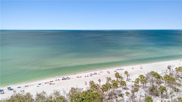 property view of water with a beach view