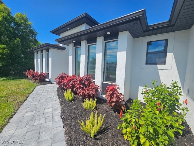 doorway to property featuring stucco siding