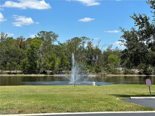 property view of water