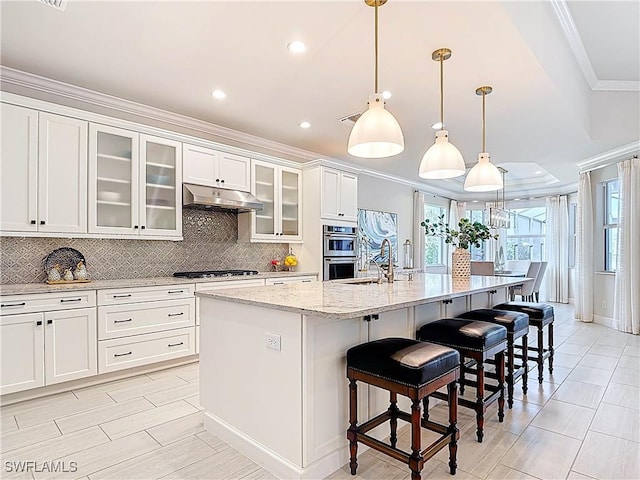 kitchen featuring under cabinet range hood, stainless steel appliances, a sink, backsplash, and crown molding