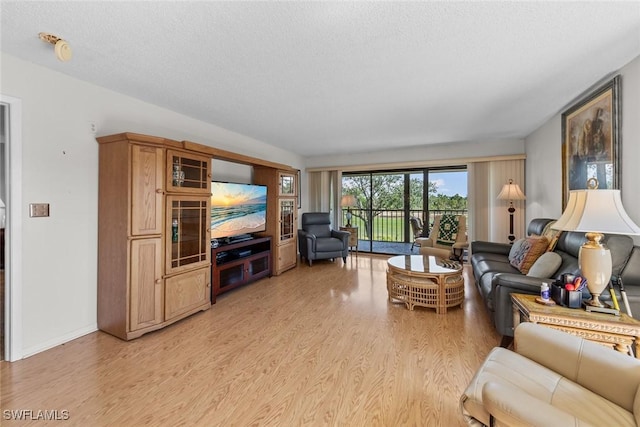 living room featuring light wood finished floors, a textured ceiling, and baseboards