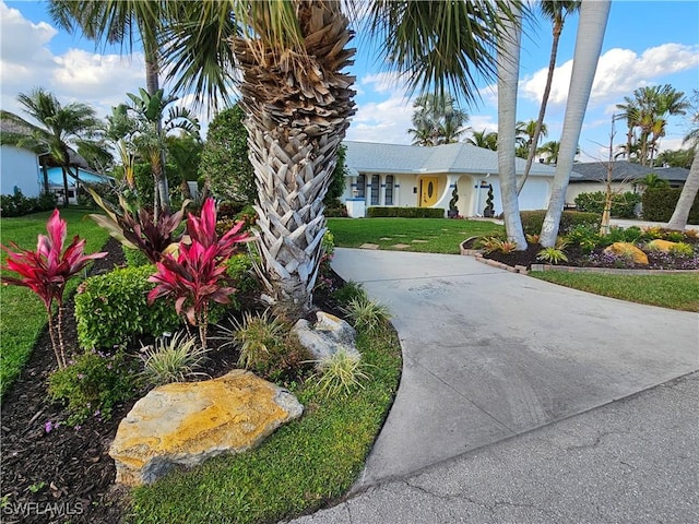 view of front of home featuring concrete driveway and a front yard