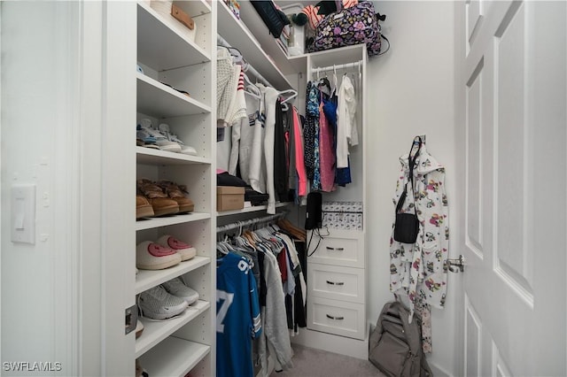 43333 Water Bird Way Unit 4821, Punta Gorda, FL 33982 - walk in closet with carpet flooring