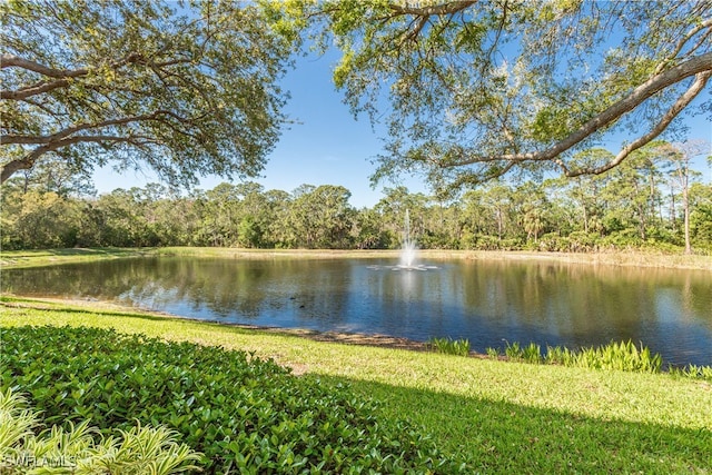 view of water feature