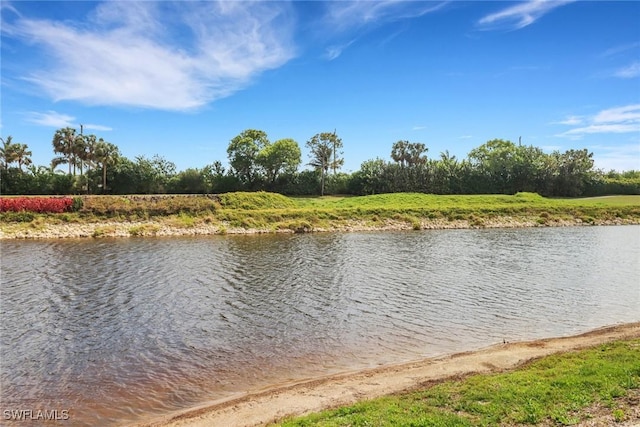 property view of water