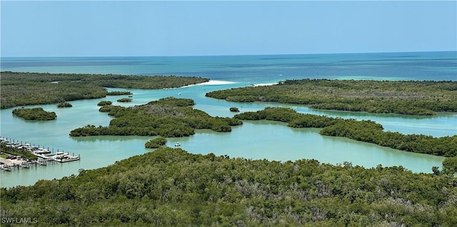 birds eye view of property featuring a water view and a wooded view