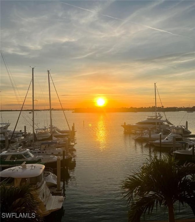 property view of water with a dock