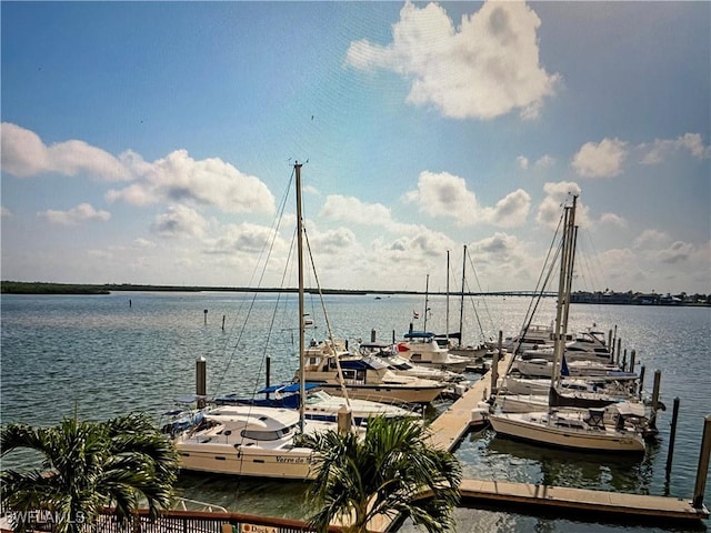 dock area with a water view