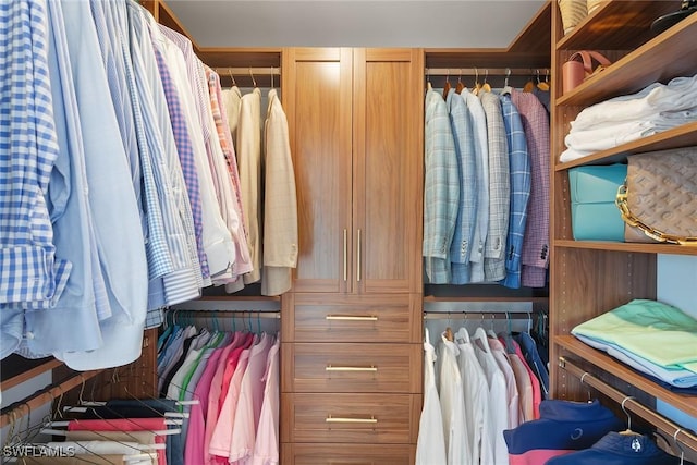 view of spacious closet