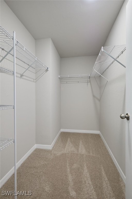 spacious closet with carpet flooring