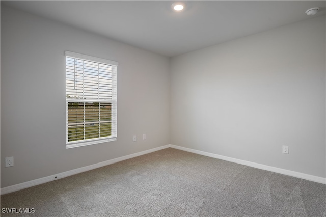 empty room with carpet floors, a wealth of natural light, and baseboards