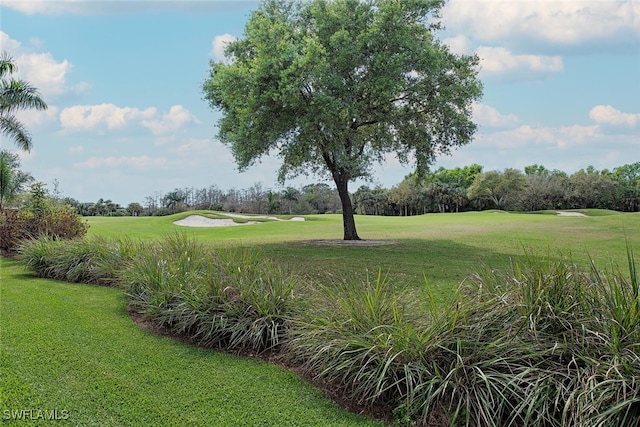 view of yard featuring view of golf course