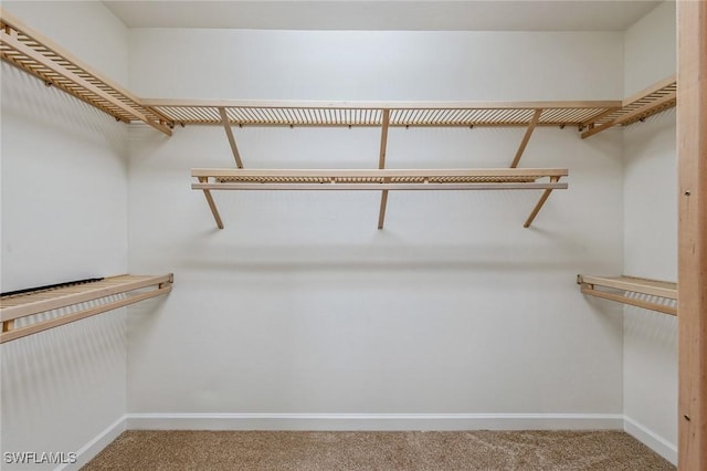 27145 Lost Lake Ln, Bonita Springs, FL 34134 - walk in closet with carpet floors